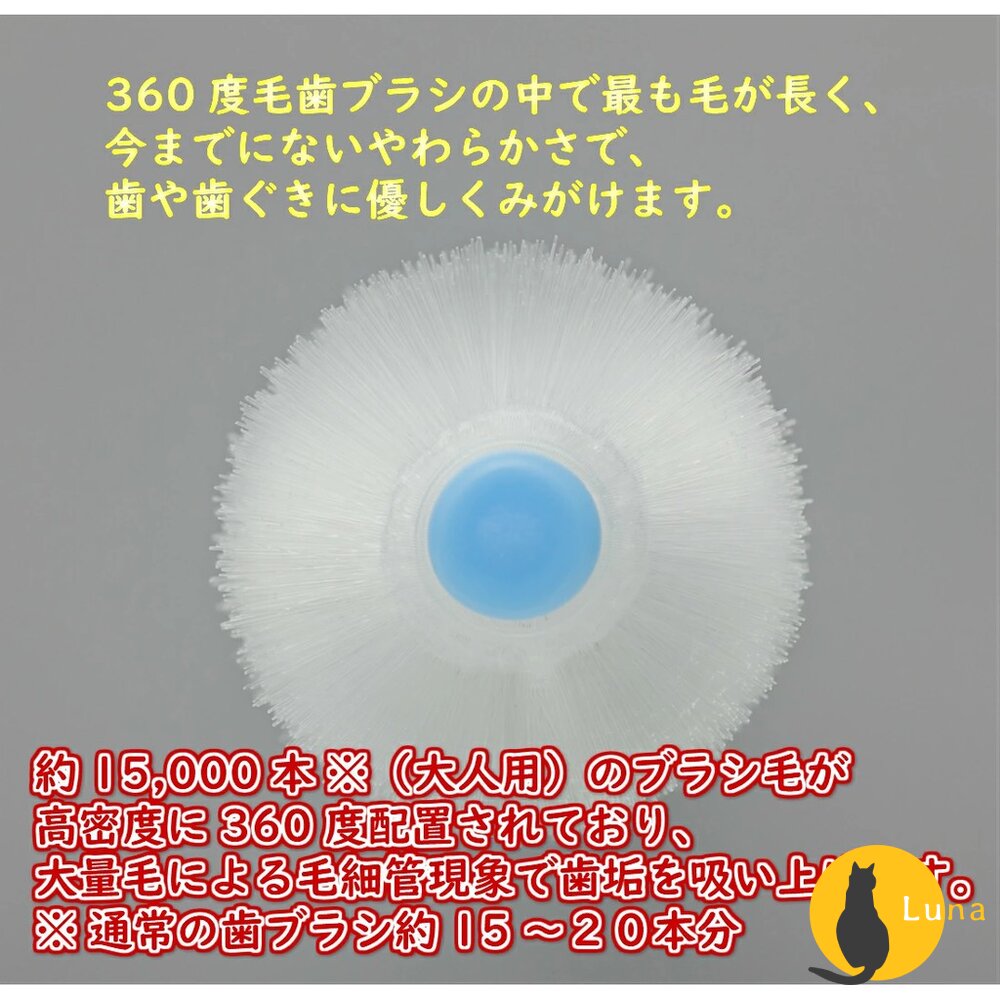 年中優惠買五送一★STB 蒲公英 360度 嬰兒牙刷 兒童 成人 軟毛 旋轉牙刷 幼兒 牙刷-圖片-2