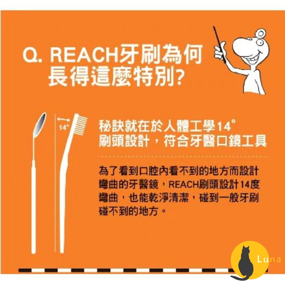 雙12買三送一★REACH 麗奇 成人牙刷 兒童牙刷 公主 皮卡丘 牙周對策 臼齒護理 蜂膠 3.5mm-圖片-2