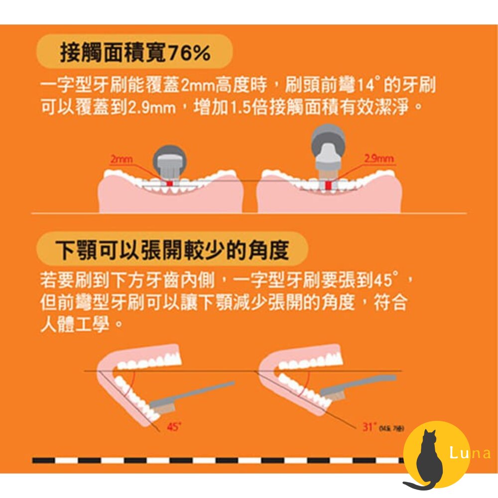 雙12買三送一★REACH 麗奇 成人牙刷 兒童牙刷 公主 皮卡丘 牙周對策 臼齒護理 蜂膠 3.5mm-圖片-4