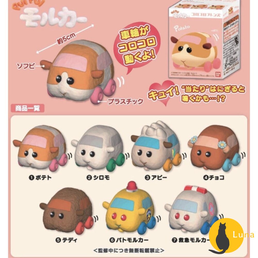 【中標現貨】BANDAI 萬代 天竺鼠車車 好朋友們 PUI PUI 盒玩 公仔 車車 代理商公司貨-圖片-4