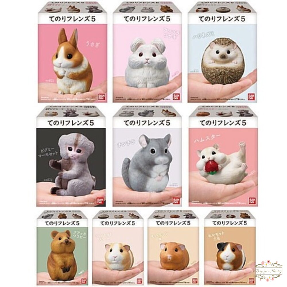 萬代 BANDAI 盒玩 兩棲爬蟲類 海洋好朋友 掌上鸚鵡 掌上好朋友 手乘朋友們 刺蝟 軟膠公仔 封面照片