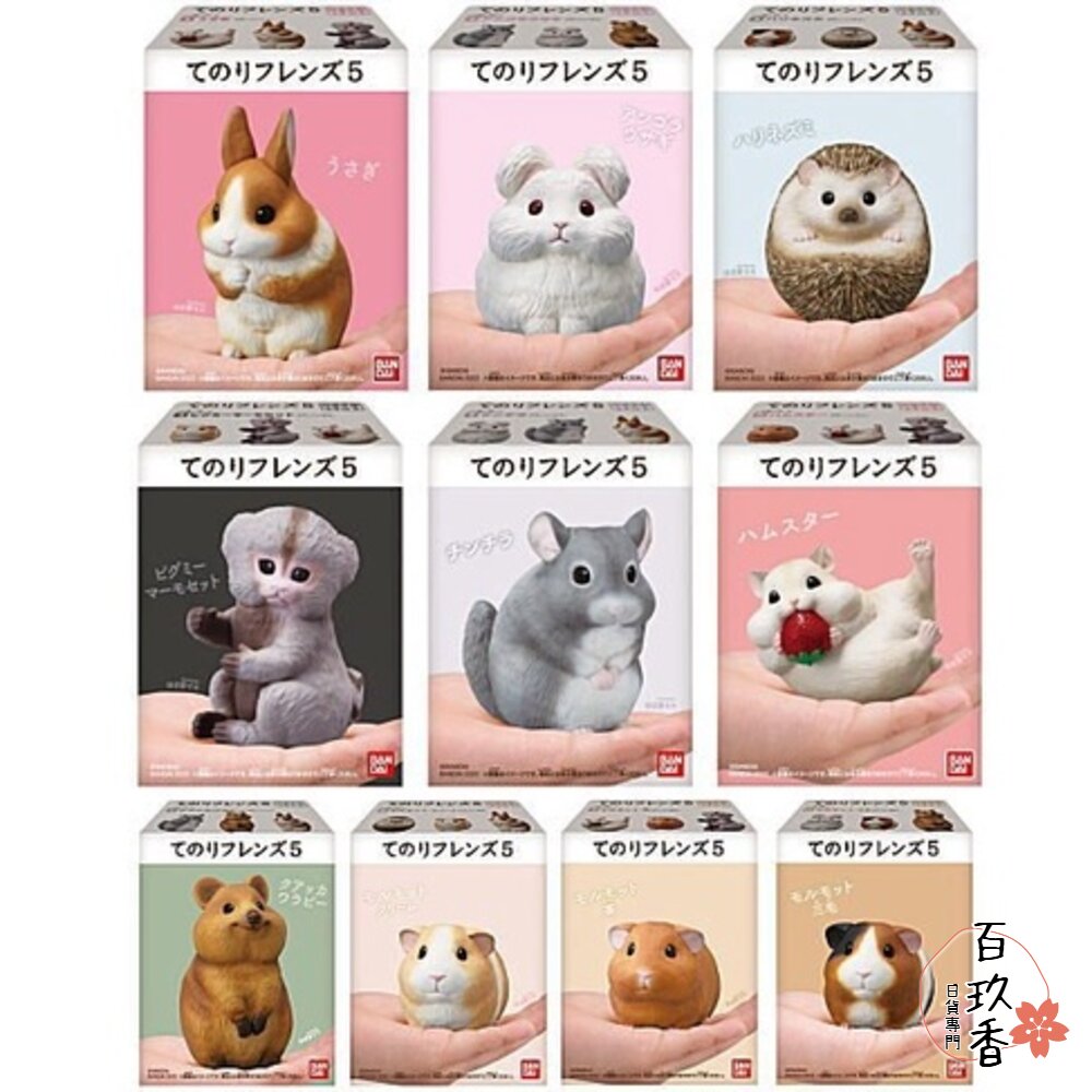 萬代 BANDAI 盒玩 兩棲爬蟲類 海洋好朋友 掌上鸚鵡 掌上好朋友 手乘朋友們 刺蝟 軟膠公仔 封面照片