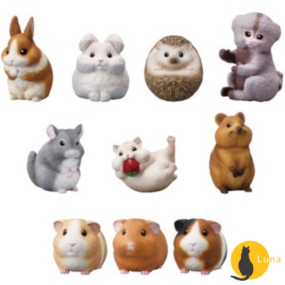 萬代BANDAI盒玩兩棲爬蟲類海洋好朋友掌上鸚鵡掌上好朋友手乘朋友們刺蝟軟膠公仔