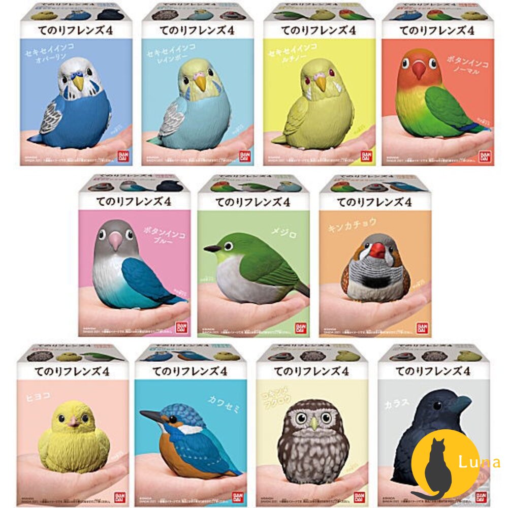 萬代 BANDAI 盒玩 兩棲爬蟲類 海洋好朋友 掌上鸚鵡 掌上好朋友 手乘朋友們 刺蝟 軟膠公仔-圖片-3