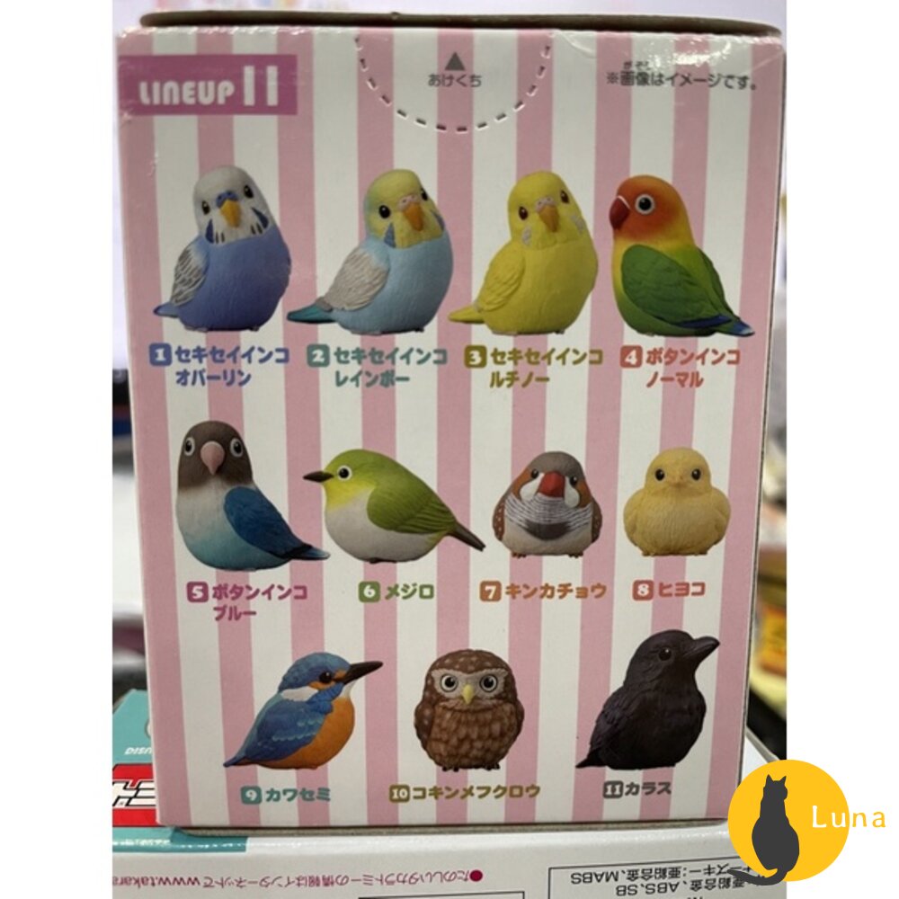 萬代 BANDAI 盒玩 兩棲爬蟲類 海洋好朋友 掌上鸚鵡 掌上好朋友 手乘朋友們 刺蝟 軟膠公仔-圖片-4