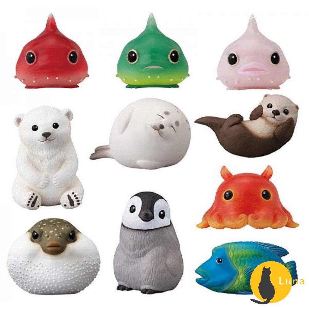 萬代 BANDAI 盒玩 兩棲爬蟲類 海洋好朋友 掌上鸚鵡 掌上好朋友 手乘朋友們 刺蝟 軟膠公仔-圖片-6