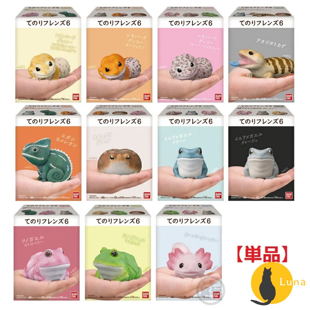 萬代 BANDAI 盒玩 兩棲爬蟲類 海洋好朋友 掌上鸚鵡 掌上好朋友 手乘朋友們 刺蝟 軟膠公仔-圖片-7