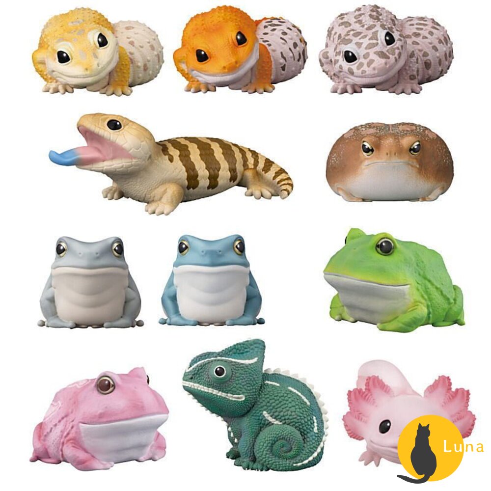 萬代 BANDAI 盒玩 兩棲爬蟲類 海洋好朋友 掌上鸚鵡 掌上好朋友 手乘朋友們 刺蝟 軟膠公仔-圖片-8