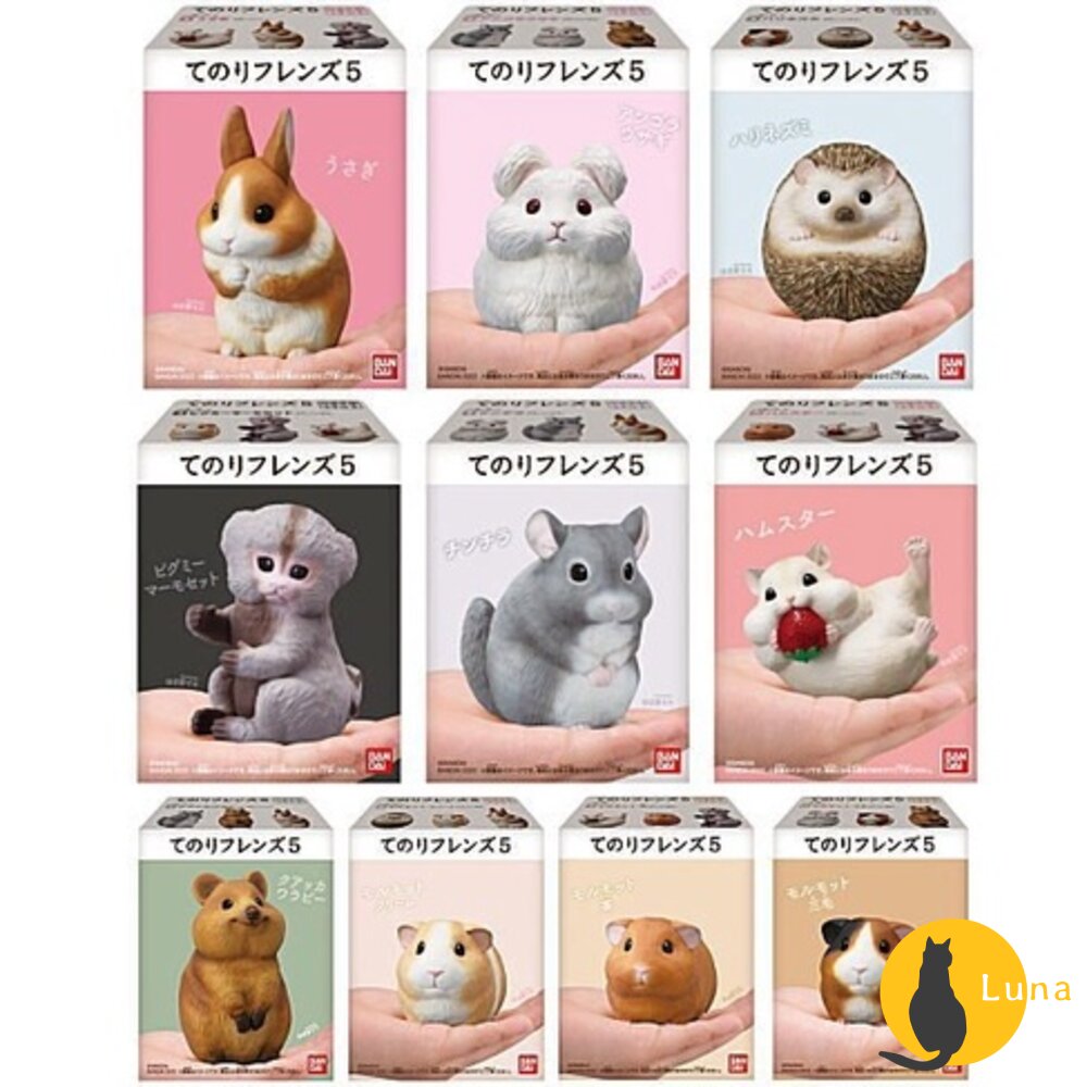 萬代 BANDAI 盒玩 兩棲爬蟲類 海洋好朋友 掌上鸚鵡 掌上好朋友 手乘朋友們 刺蝟 軟膠公仔-圖片-1