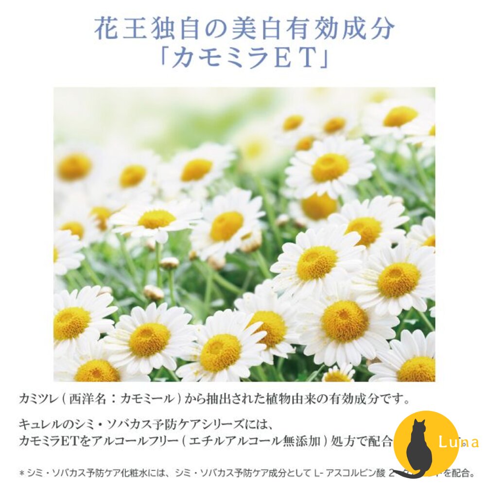 日本 Curel 珂潤 浸潤保濕 化妝水 控油 乳液 防曬 水凝露 美白 逆齡 乳霜 旅行組-圖片-2