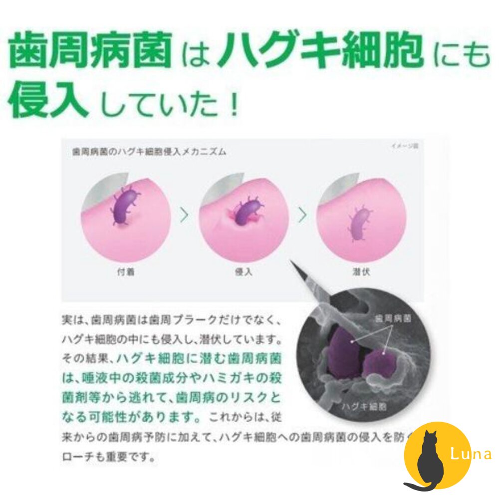 日本境內 Sunstar 三詩達 GUM 牙周護理 抗敏感 牙膏 wellplus procare-圖片-4