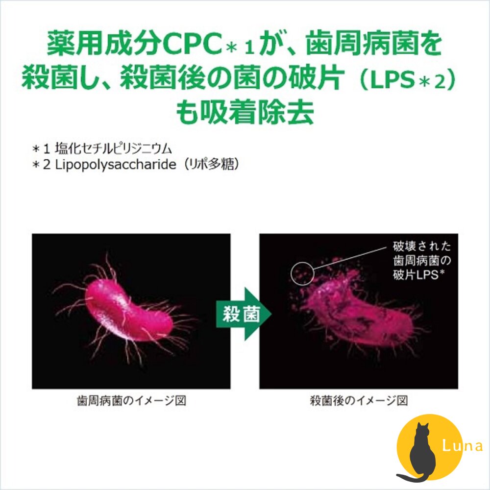 日本境內 Sunstar 三詩達 GUM 牙周護理 抗敏感 牙膏 wellplus procare-圖片-7