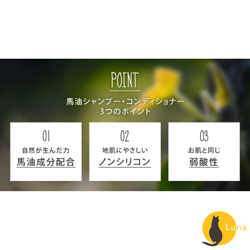 日本境內 熊野油脂 馬油 無矽靈 洗髮精 潤髮乳 沐浴乳 熊野 樁油 椰油 補充包-圖片-3