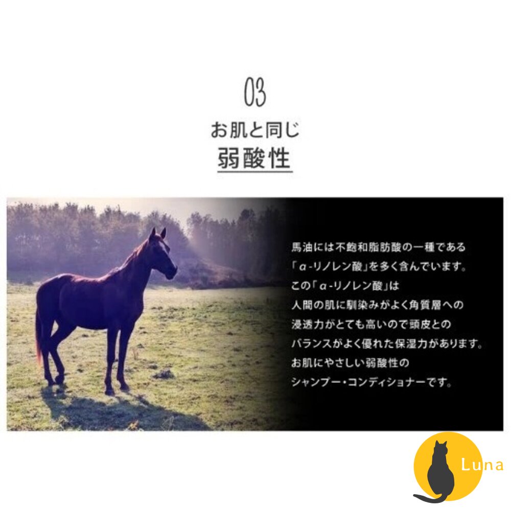 優惠中 日本境內 熊野油脂 馬油 無矽靈 洗髮精 潤髮乳 沐浴乳 熊野 樁油 椰油 補充包-圖片-7