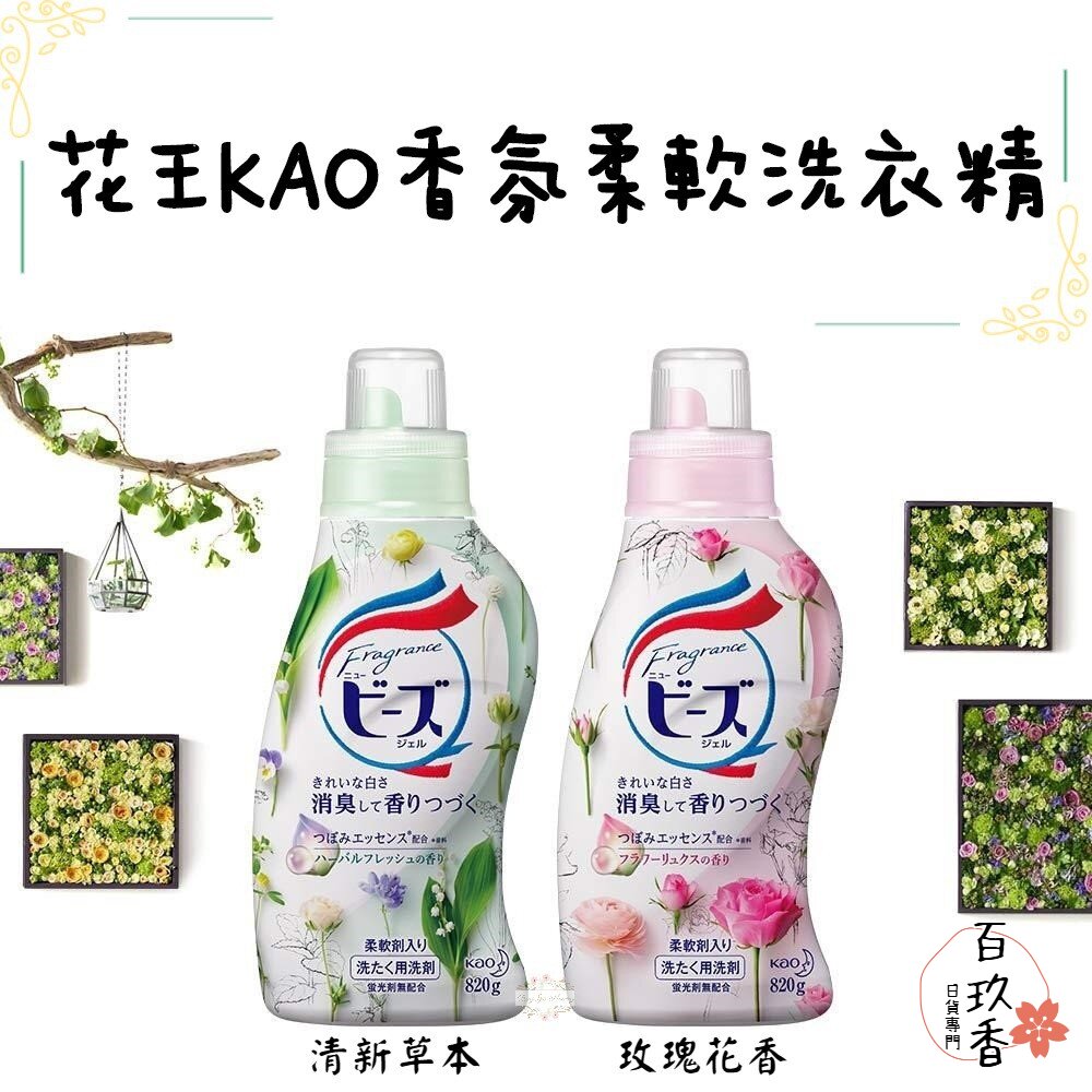 000130-花王 KAO 植粹 柔軟 洗衣精 草本 濃縮抗菌 new beads 鈴蘭洋甘菊 玫瑰木蘭