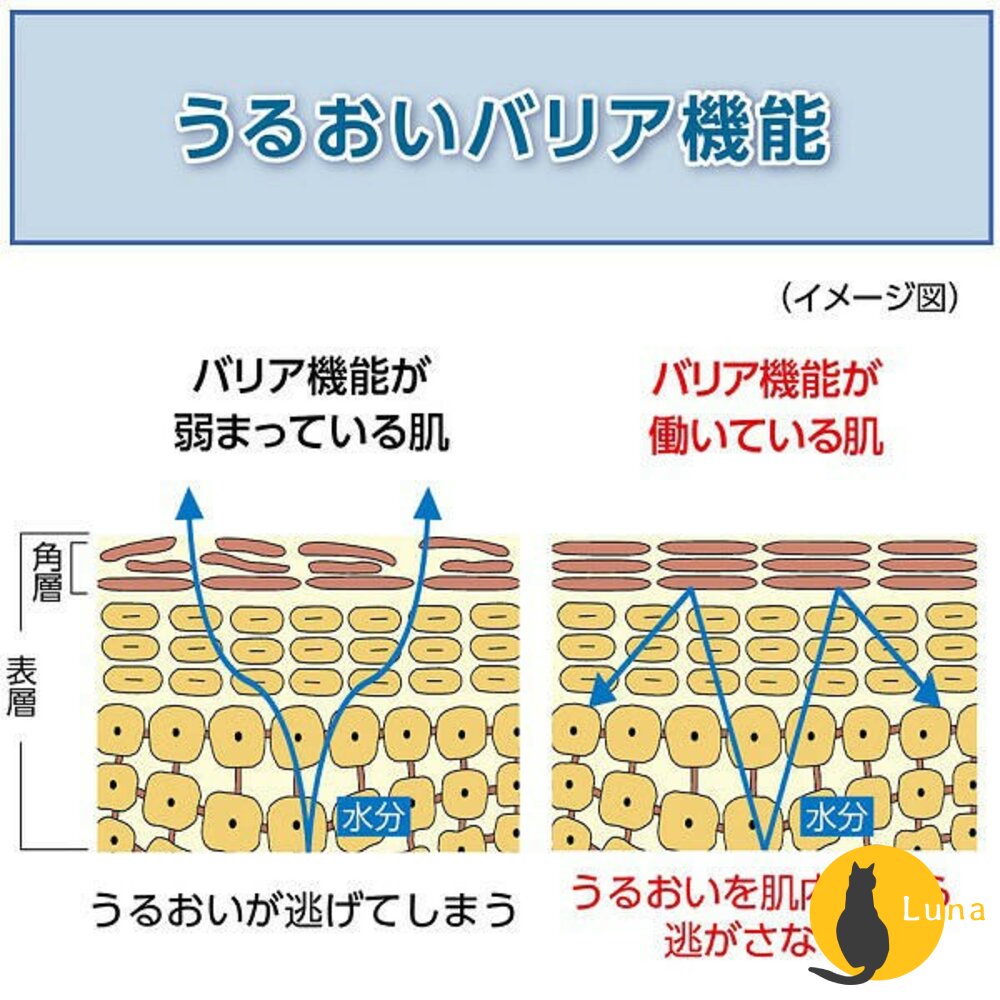 日本境內 資生堂 UNO 俐落至上 機能水 角質浸透 化妝水 保濕 控油 敏感 刮鬍後保濕 精華液 爽膚水-圖片-2