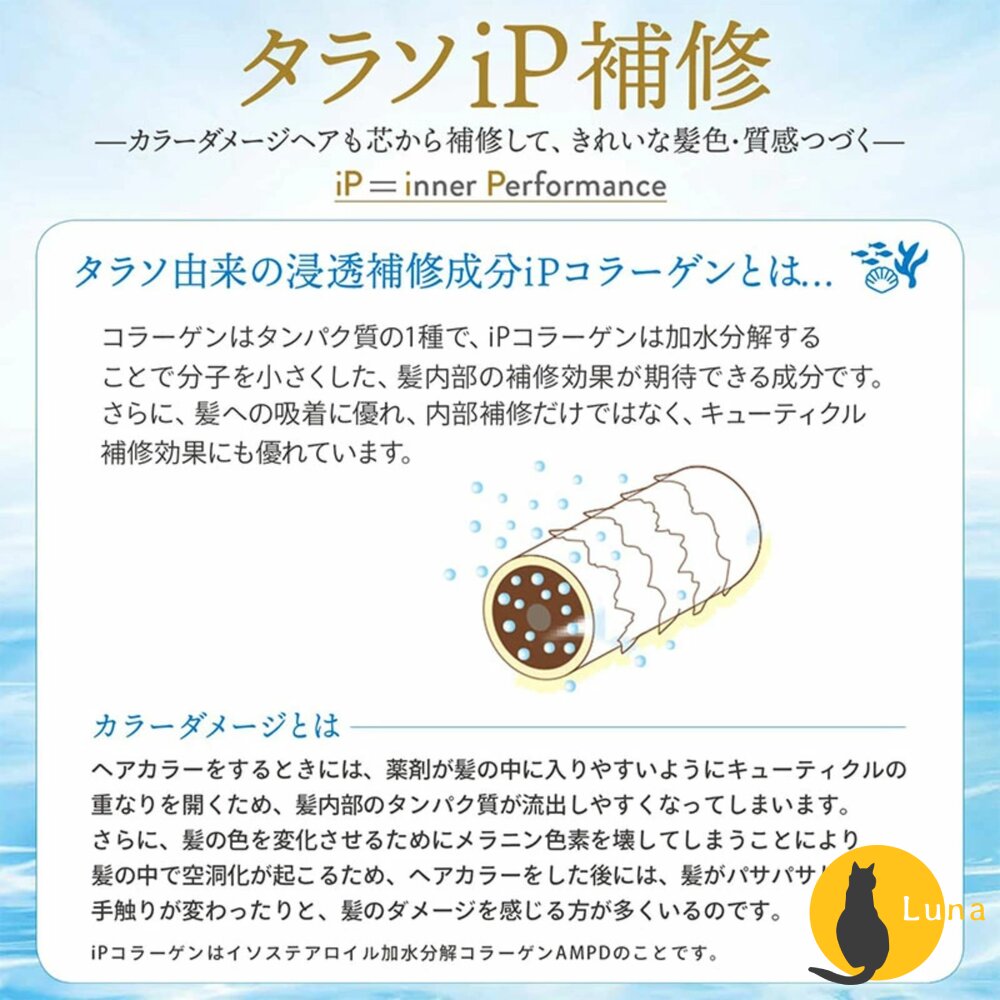 KOSE JE L'AIME 爵戀 極致氨基酸修護 RELAX 洗髮精 護髮乳 高絲 深層潤澤 無矽靈-圖片-6