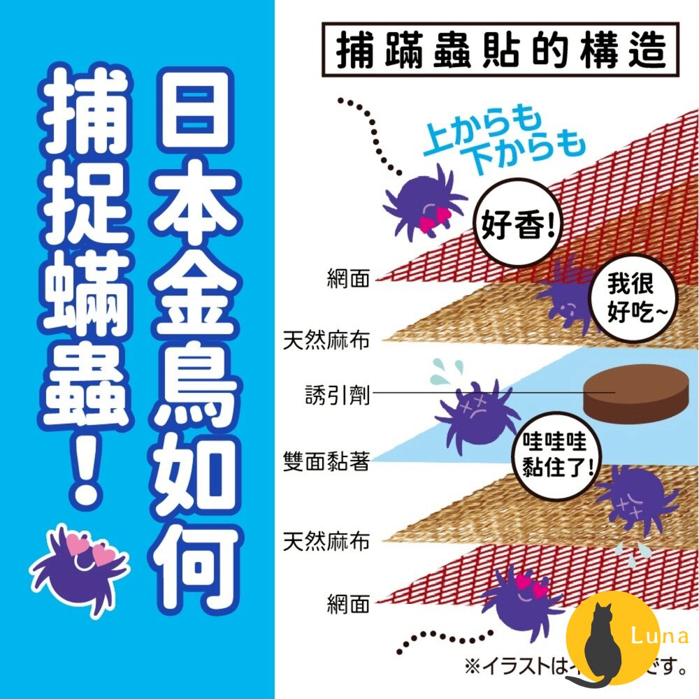 日本 金鳥 KINCHO 金雞 防蟎貼片 3枚入 塵蟎 蟎蟲 捕蟎貼 捕蟎蟲 貼紙 捕蟎貼片 防螨-圖片-3
