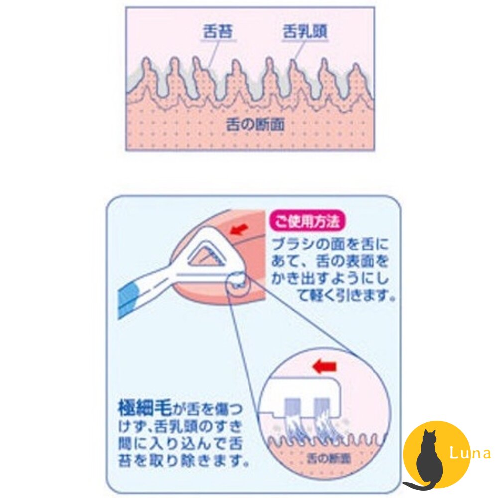 日本 EBiSU 惠百施 口臭對策 舌苔刷 舌苔清潔刷 舌苔清潔器 刮舌器 銀離子 Ag+ 刷毛 軟膠-圖片-4