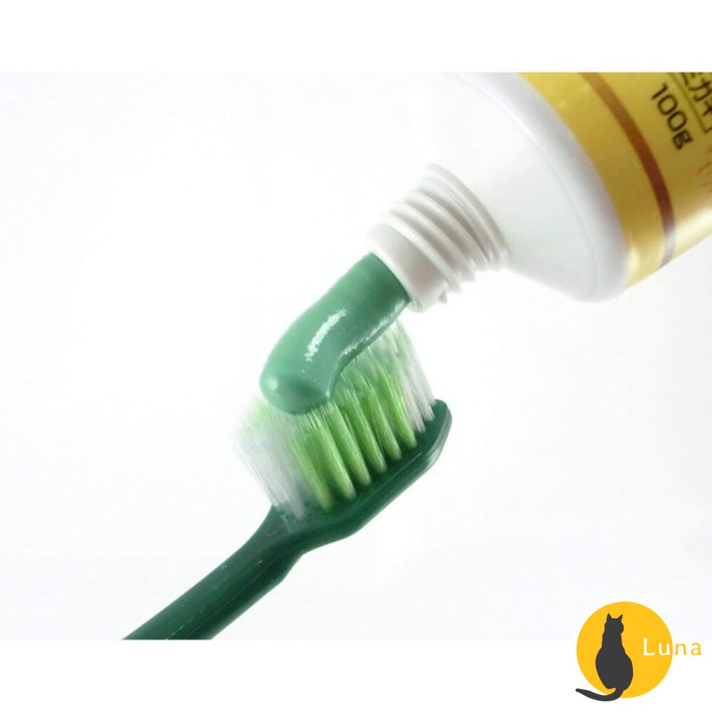 日本原裝 小林製藥 齒槽膿漏 天然草本生葉 護齦牙膏 牙周護理牙膏 金色 EX 敏感 植物配方-圖片-3