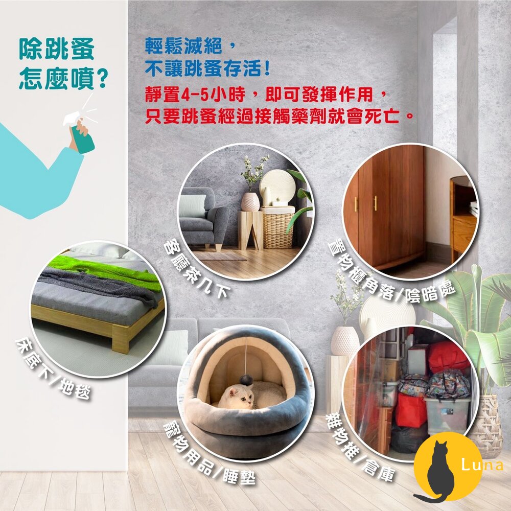 【現貨+發票】奧除 跳蚤專家 白蟻專家 除蟲噴霧 100ml 噴劑-圖片-6