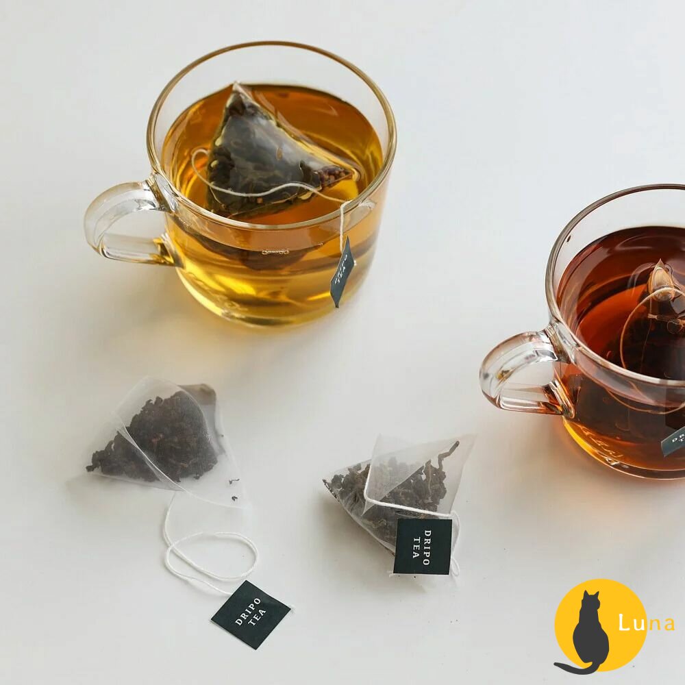 20包入即期特價 日本 Dripo 沢笠製茶所 原片茶葉 立體茶包 烏龍茶 綠茶 茶葉-圖片-6