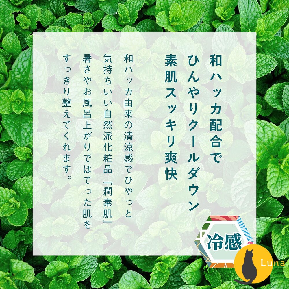優惠中 日本 浪蘭堂 ROLAND 潤素肌 薄荷 爽膚 保濕 化妝水 噴霧 250ml 涼感 薄荷 COOL-圖片-8