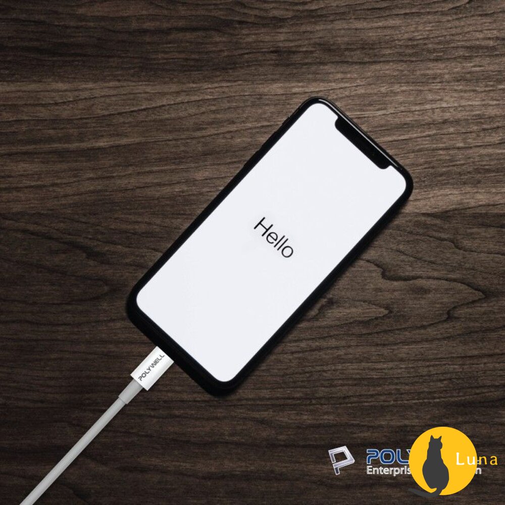 POLYWELL Type-C Lightning PD 快充線 充電線 寶利威爾 20W 適用蘋果 iphone-圖片-6