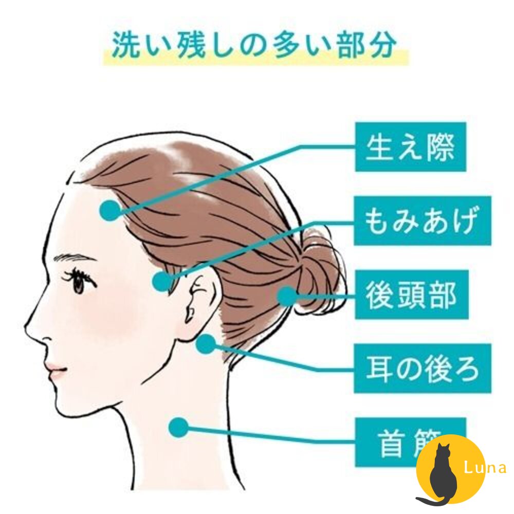 珂潤 Curel 潤浸保濕 低敏 洗髮精 護髮素 補充包 敏感肌適用 洗髮乳 潤髮乳 潤絲 護髮乳-圖片-4