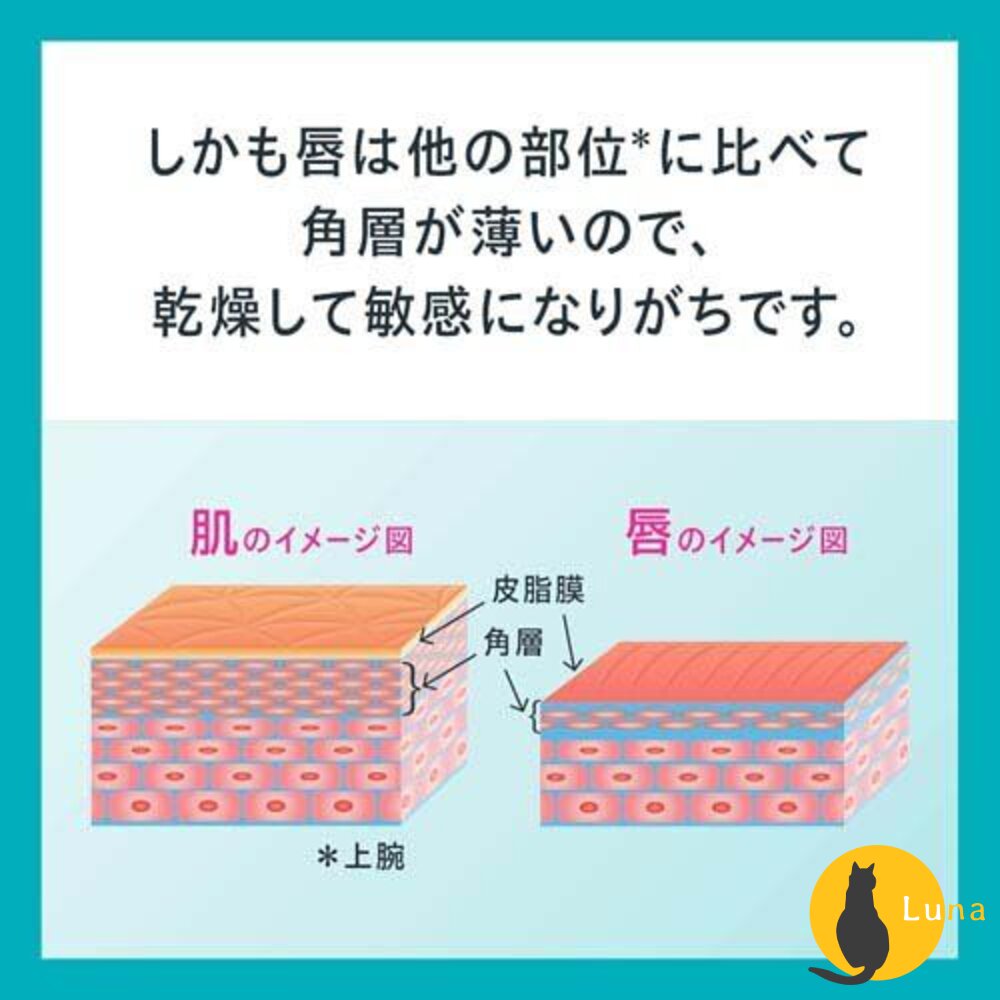珂潤 Curel 潤浸保濕 低敏 護唇膏 唇膜 保濕 敏感性肌膚適用 夜間加強-圖片-2
