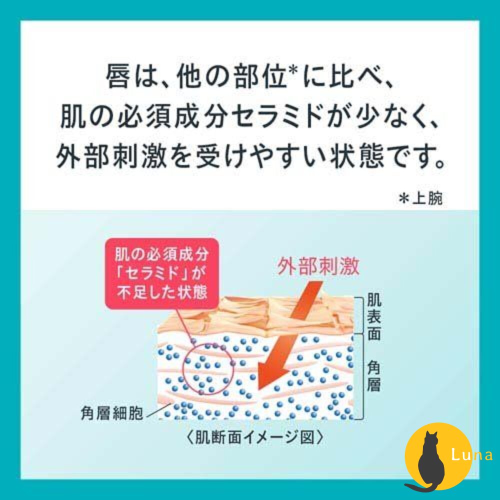 珂潤 Curel 潤浸保濕 低敏 護唇膏 唇膜 保濕 敏感性肌膚適用 夜間加強-圖片-3