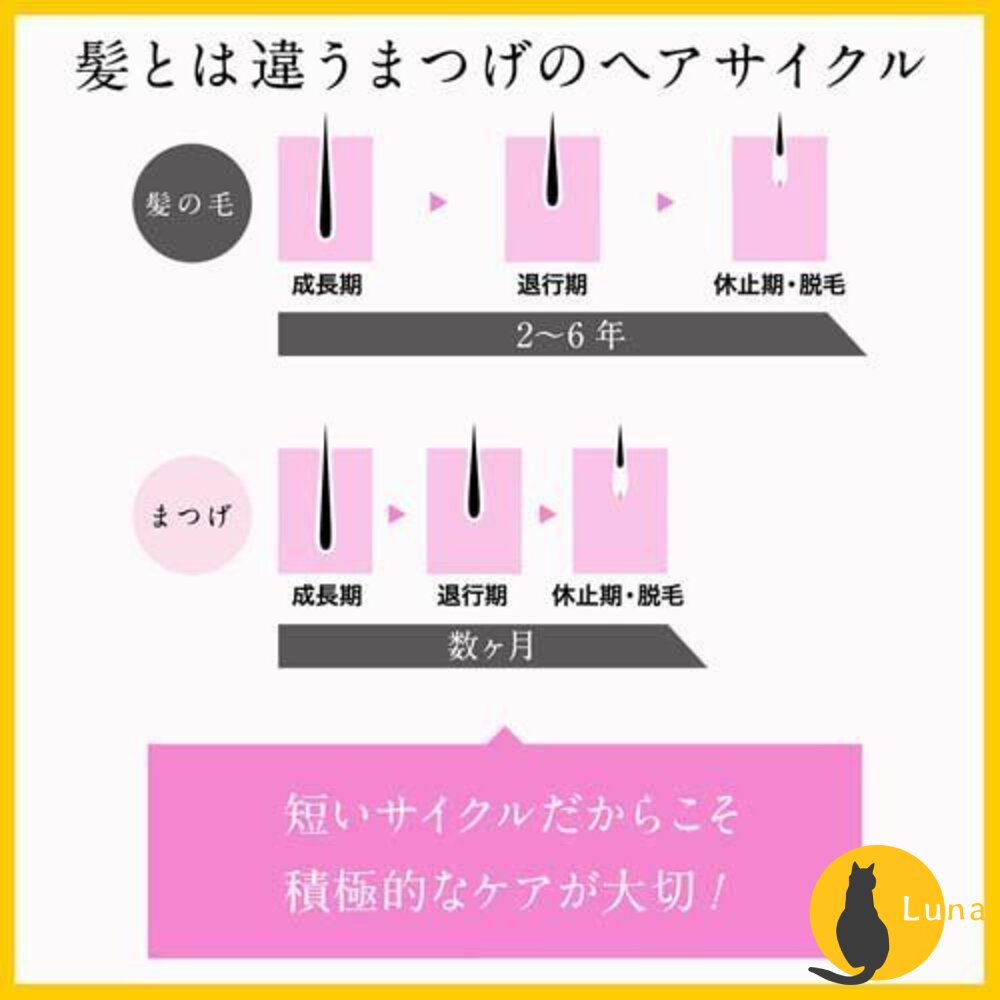 日本境內 DHC 睫毛修護液 6.5ml Eyelash Tonic 睫毛 美容液 精華液 滋養液-圖片-4