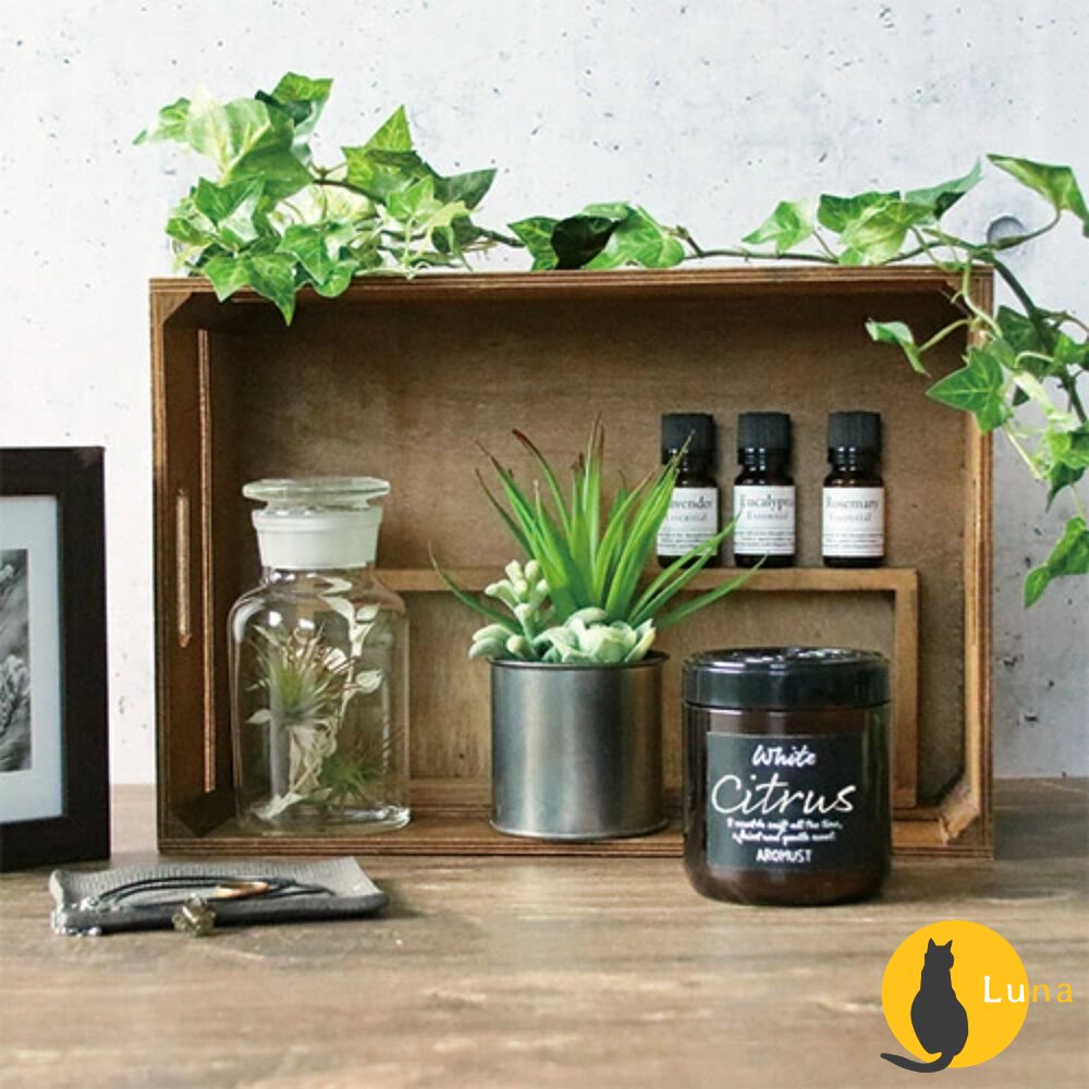 日本 晴香堂 HARUKADO AROMUST 自然系 香氛膏 擴香 芳香噴霧 芳香劑 香膏 芳香膏-圖片-4