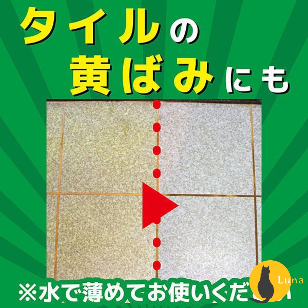 日本 金鳥 KINCHO 馬桶強力清潔劑 800ml 去汙 除垢 浴廁清潔 除菌 金雞-圖片-5