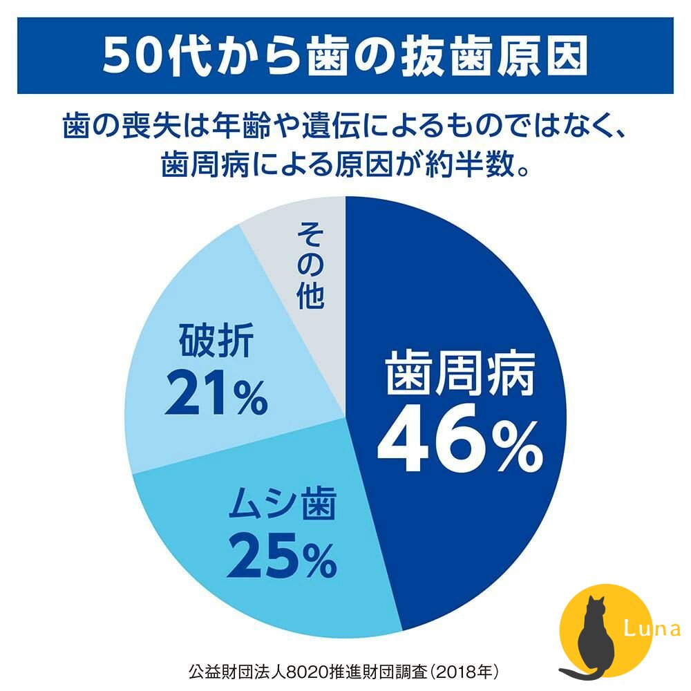 日本境內 Lion 獅王 Dent Health 專業牙周護理 牙膏 無研磨 凝膠 口臭 歯槽膿漏-圖片-4
