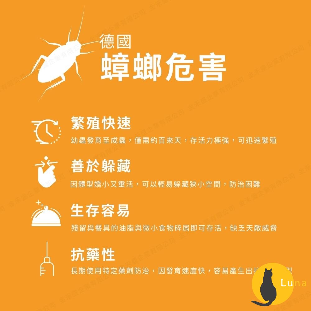 新品 BASF巴斯夫 速效 快點絕 0.5% 凝膠餌劑 5g 10g 蟑螂藥 殺蟑藥 除蟑 滅蟑 小強 蟑螂-圖片-4
