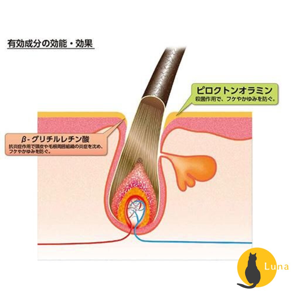 日本境內 加美乃素 KAMINOMOTO 頭皮護理 洗髮乳 洗髮精 護髮乳 潤髮乳 護髮素-圖片-3