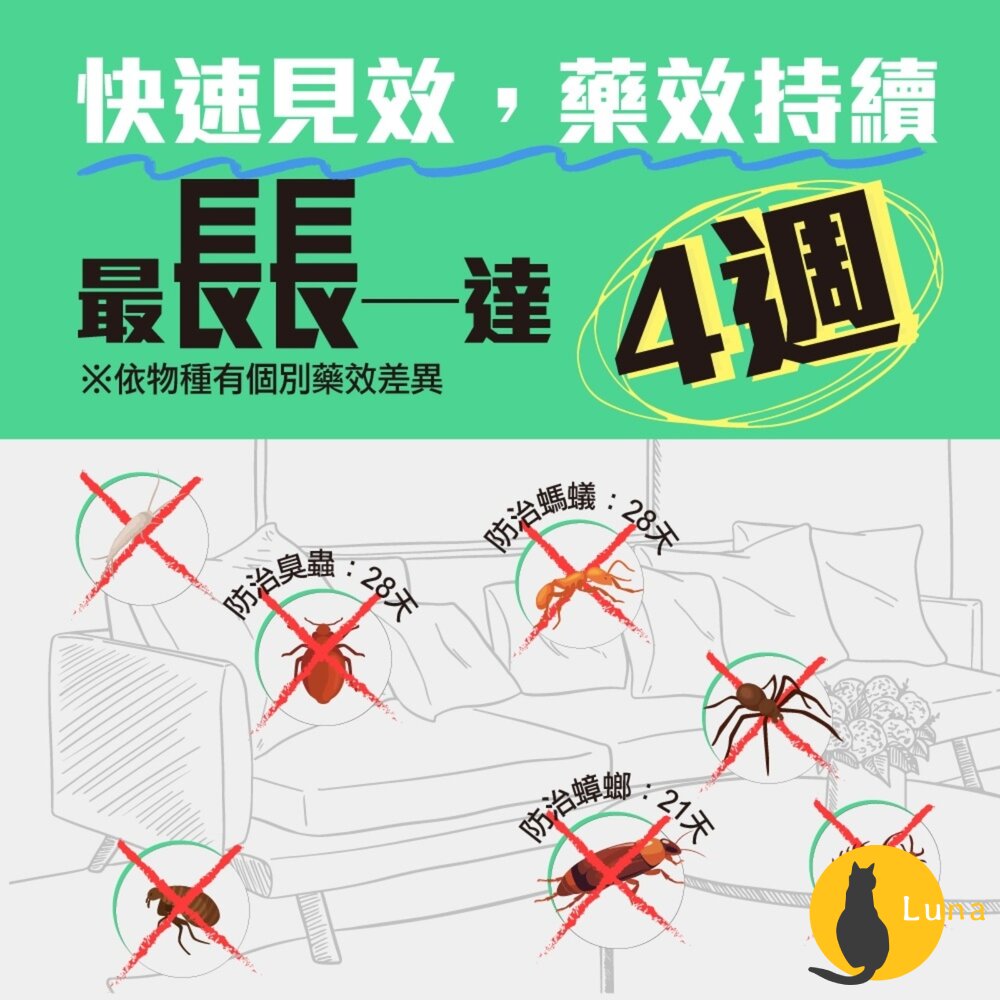 日本 金鳥 KINCHO 泰好噴 油性 殺蟲劑 蟑螂 蚊子 螞蟻 蒼蠅 小黑蚊 白蟻 跳蚤 塵蟎 臭蟲 火蟻-圖片-3