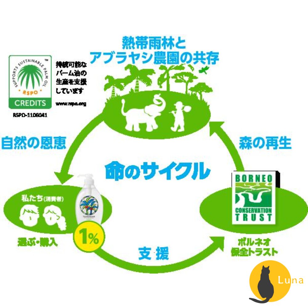 優惠中 日本 SARAYA Yasinomi 濃縮 洗碗精 高生物分解性 無香料 無著色 補充包 友善環境-圖片-5