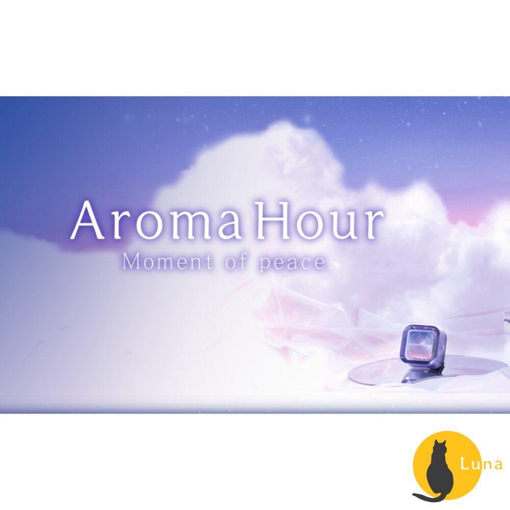 新味道上架 日本 晴香堂 HARUKADO 車用 芳香劑 芳香夾 擴香 出風口 香氛 消臭-圖片-9