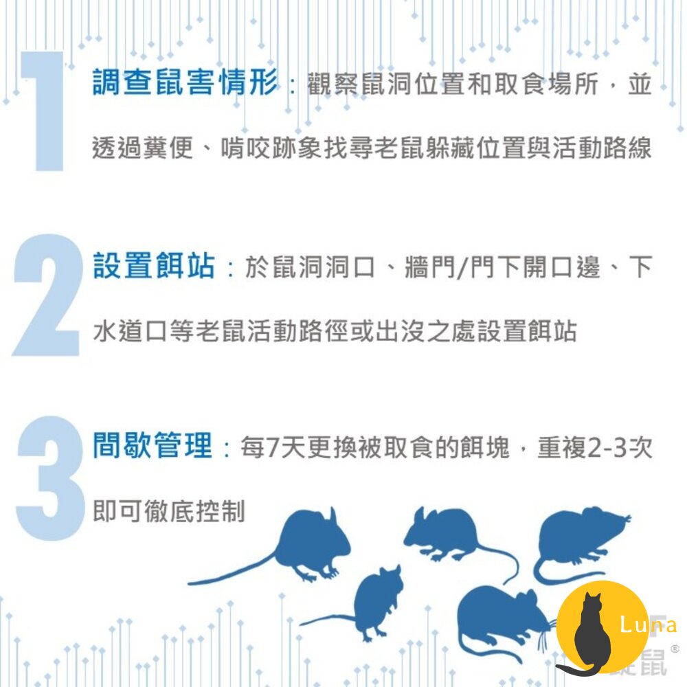 公司貨 巴斯夫 BASF 一錠鼠 老鼠藥 鼠餌站 小盒 滅鼠 老鼠 錠型 穿孔型 140g 餌站-圖片-4