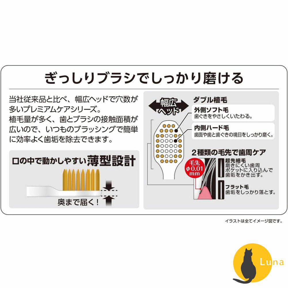 EBISU 兒童牙刷 成人牙刷 優質倍護 極上濃密 寬幅薄型 Tomica 哆啦A夢 史努比-圖片-4