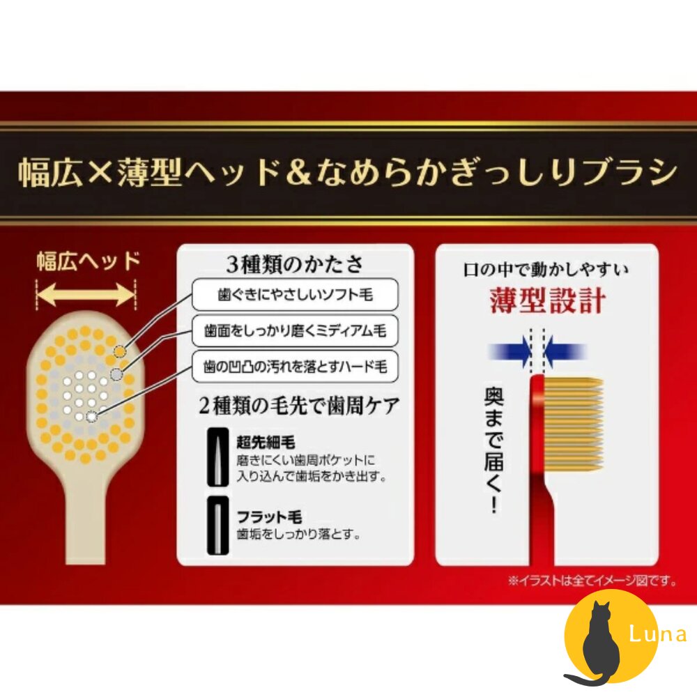 EBISU 兒童牙刷 成人牙刷 優質倍護 極上濃密 寬幅薄型 Tomica 哆啦A夢 史努比-圖片-5