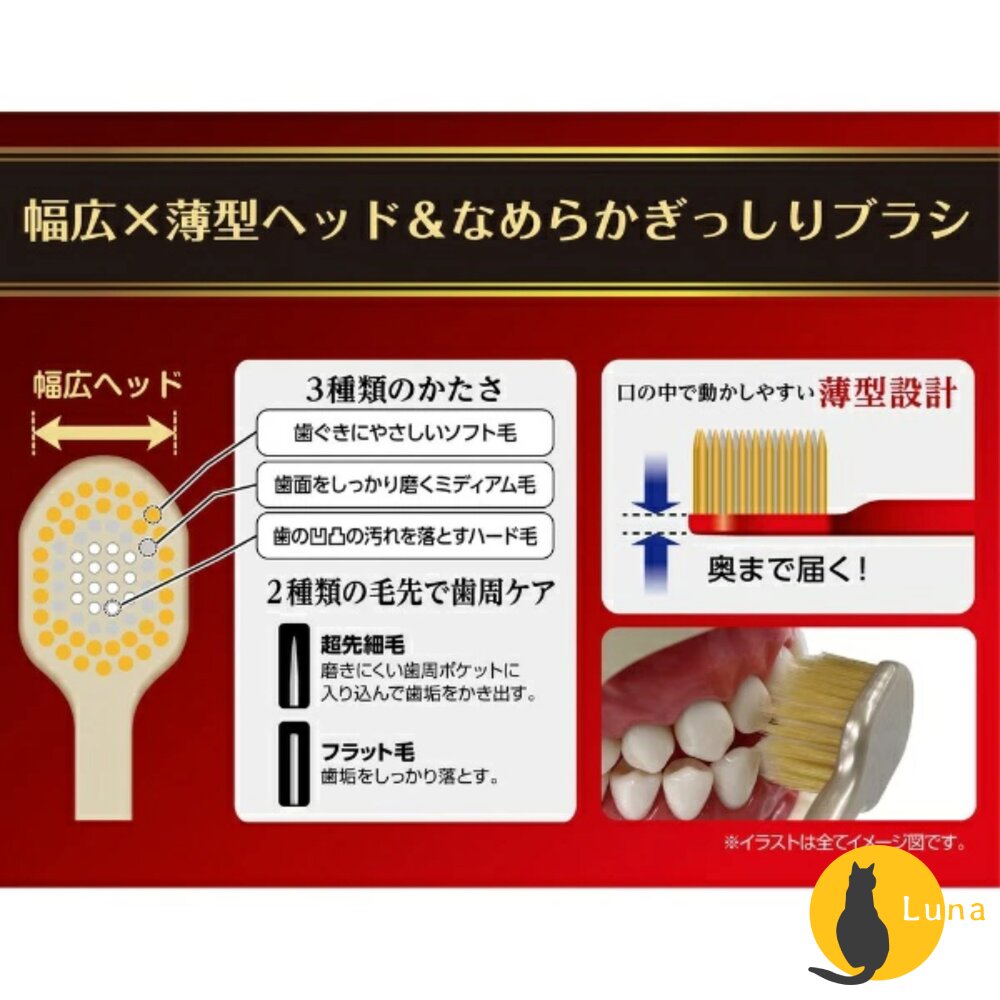 EBISU 兒童牙刷 成人牙刷 優質倍護 極上濃密 寬幅薄型 Tomica 哆啦A夢 史努比-圖片-6