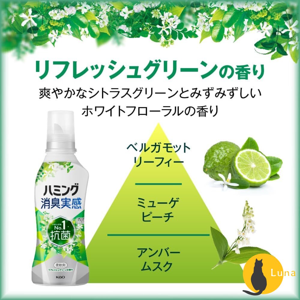 特價出清 日本 花王 消臭實感 雙效除臭 衣物 柔軟精 抗菌 消臭 衣物柔軟精-圖片-4