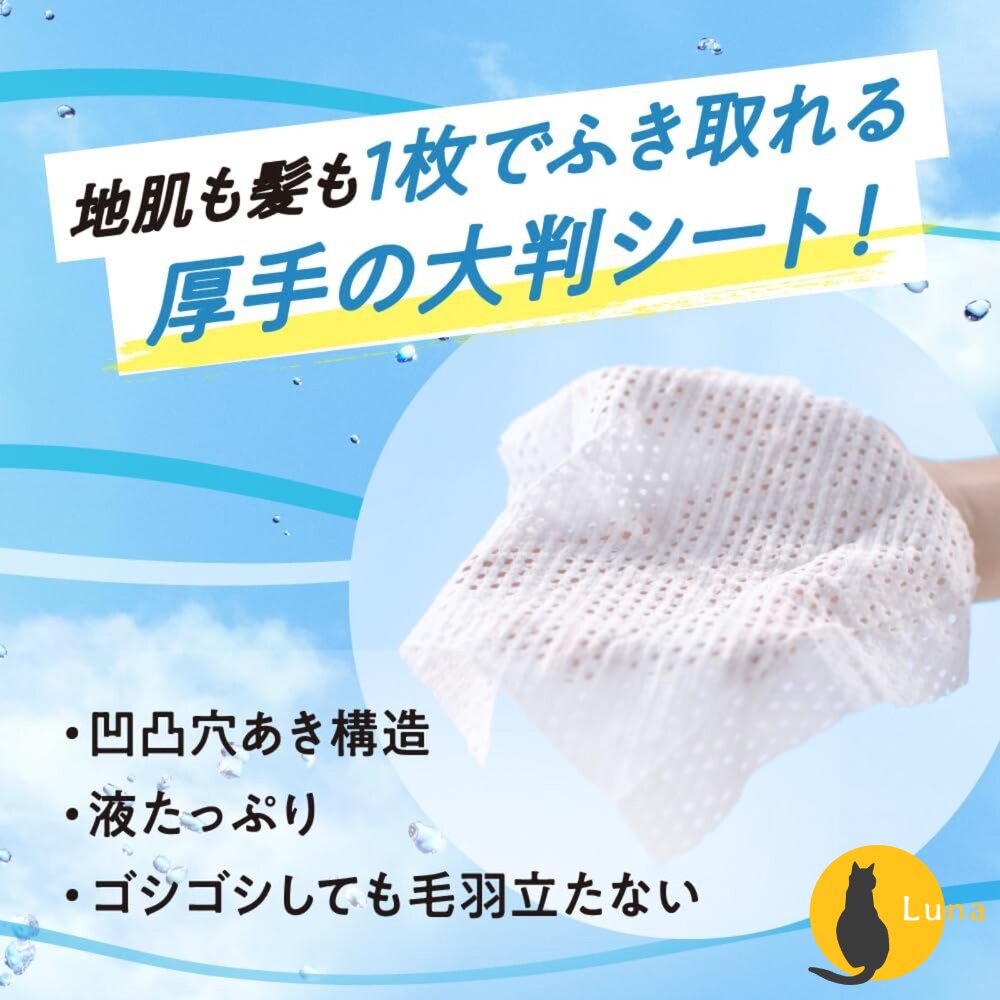 日本 Kao 花王 merit DAY+ 乾洗髮濕巾12枚入 濕紙巾 乾洗髮 懶人必備 柔順 蓬鬆 油頭救星-圖片-7