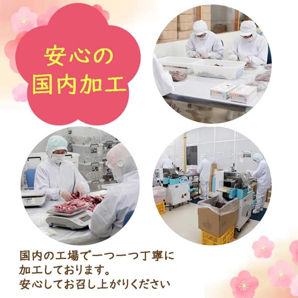 日本直送|現貨|日本 無籽梅肉 270G-圖片-9