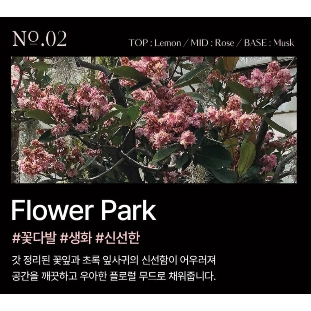 現貨#韓國HETRAS x HELLO KITTY 聯名限定擴香禮盒 (500ml*3瓶/盒)-圖片-2