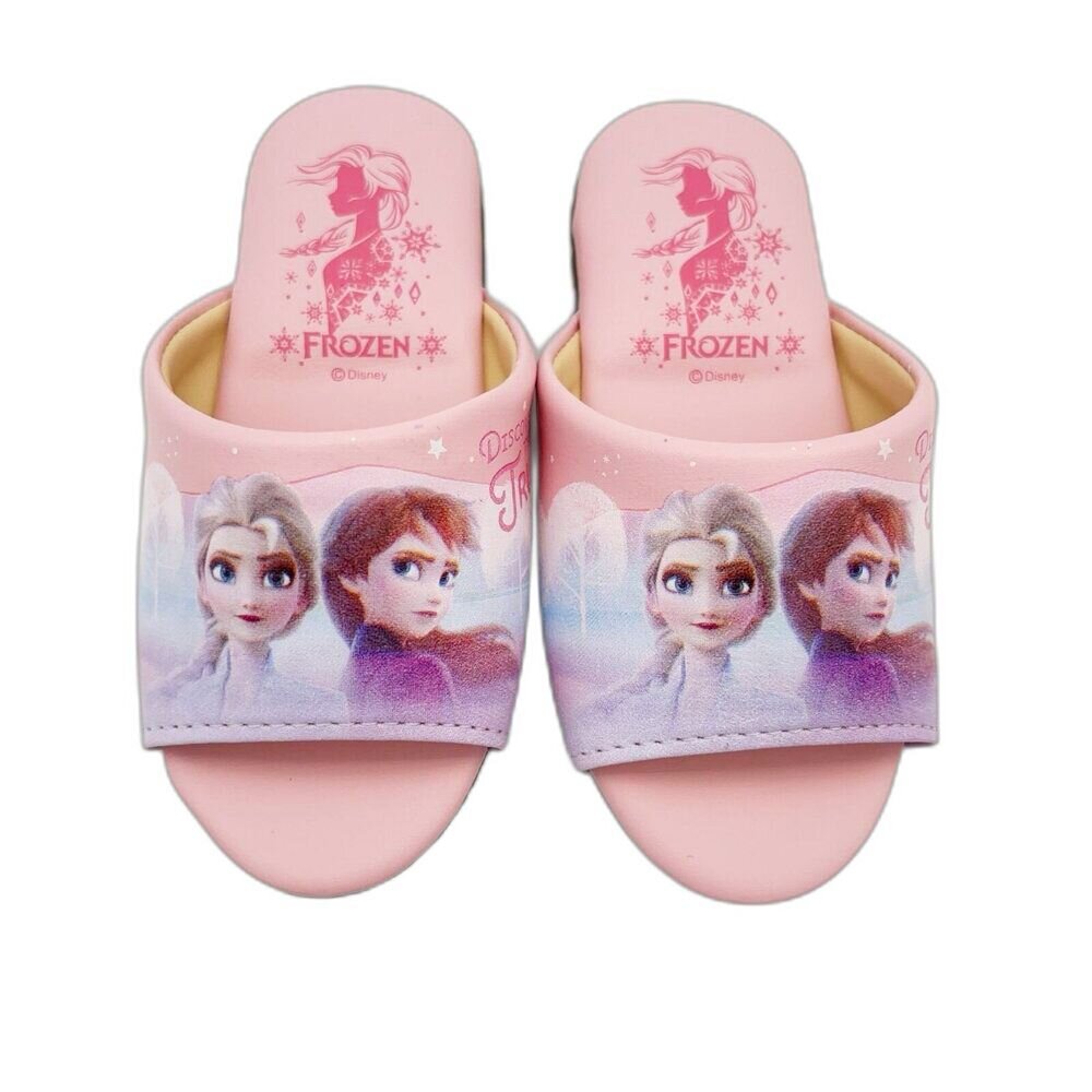 F179-台灣製冰雪奇緣室內拖鞋