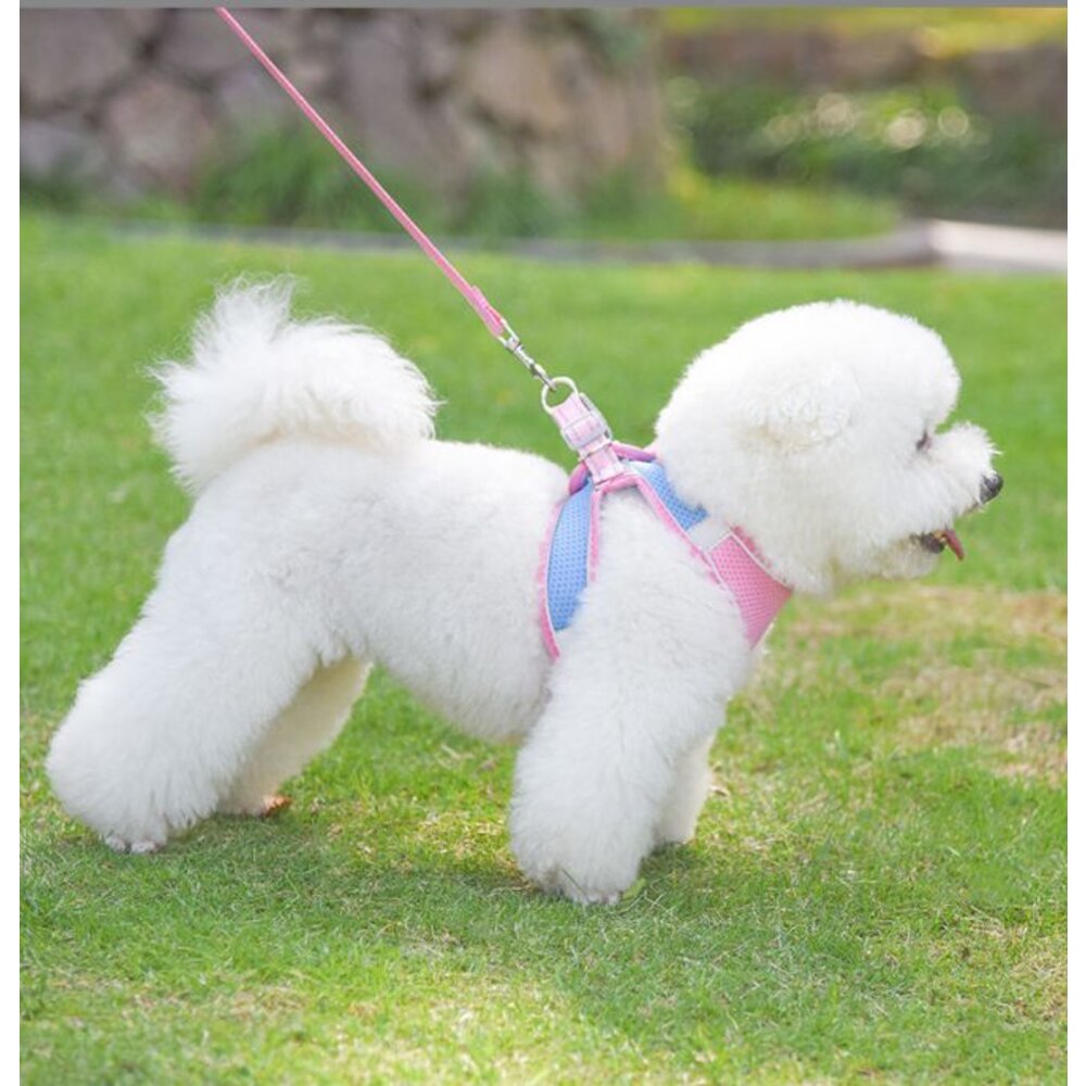 ✨台灣 ✨ 寵物胸背帶 寵物牽引繩 狗狗胸背帶 貓咪胸背帶 防暴衝胸背帶 背心胸背帶 貓背心 狗背心-圖片-8